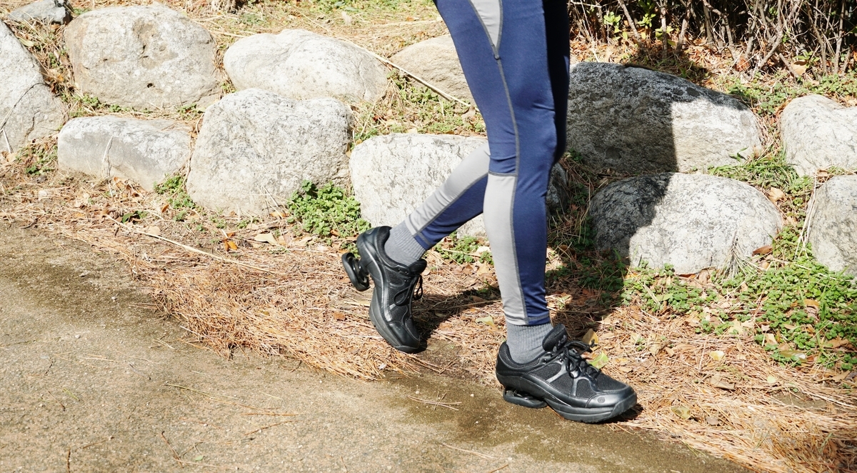 f:id:Z-CoiL:20191211102433j:plain