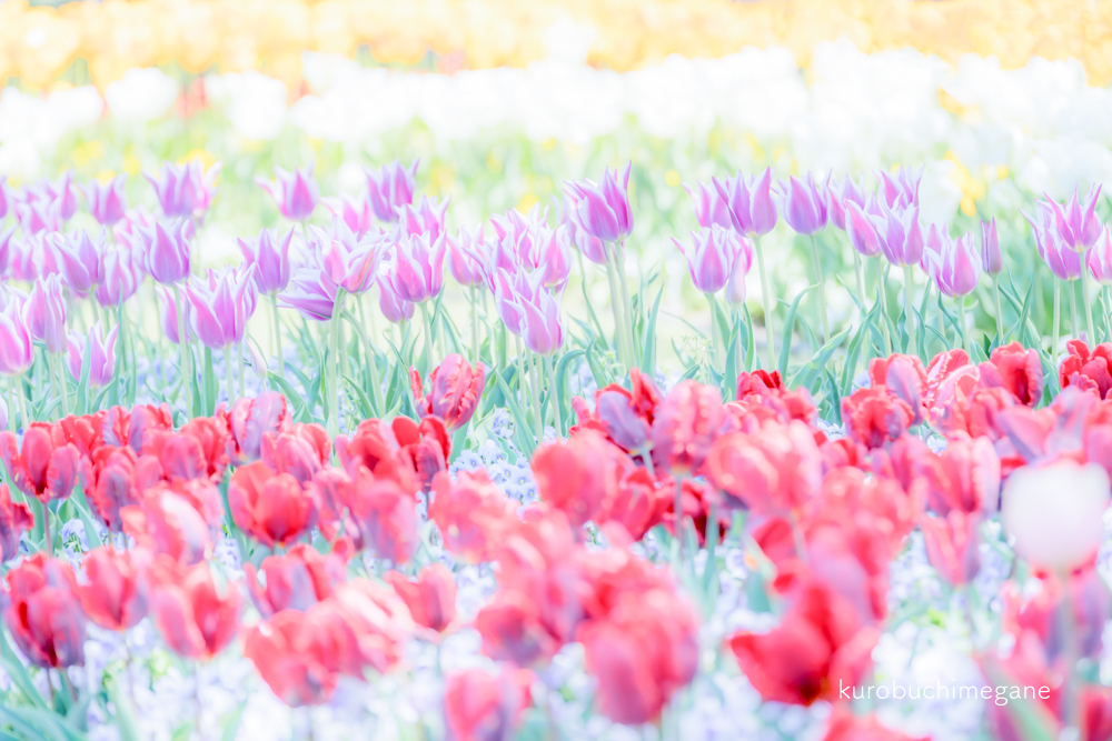 f:id:Z13:20181007175519j:plain f:id:Z13:20181007175519j:plain