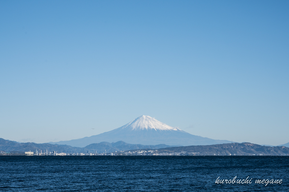 f:id:Z13:20190111204610j:plain f:id:Z13:20190111204610j:plain