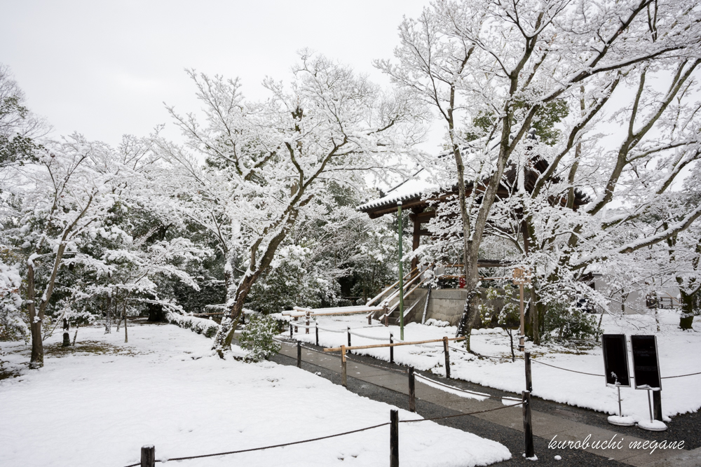 f:id:Z13:20190203173030j:plain f:id:Z13:20190203173030j:plain