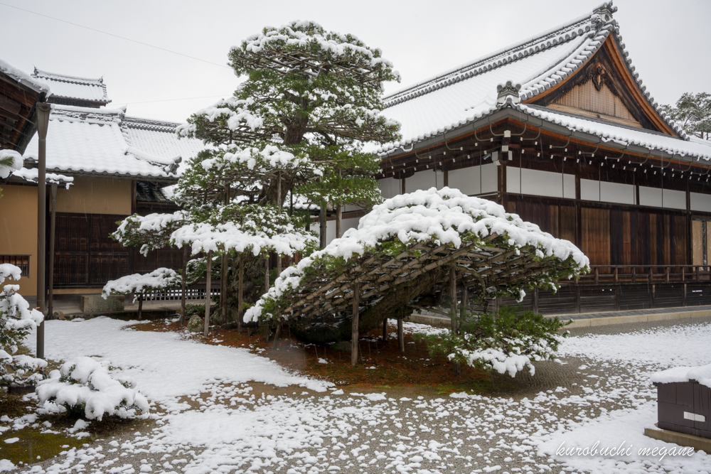 f:id:Z13:20190203173054j:plain f:id:Z13:20190203173054j:plain