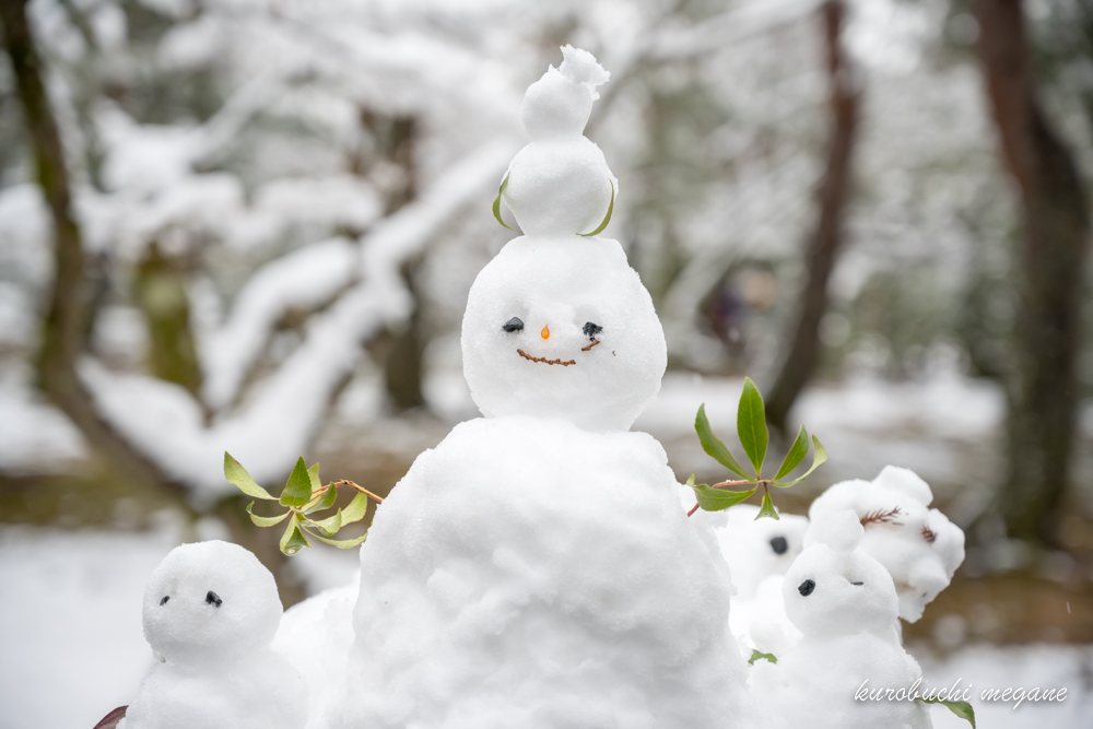 f:id:Z13:20190203173128j:plain f:id:Z13:20190203173128j:plain