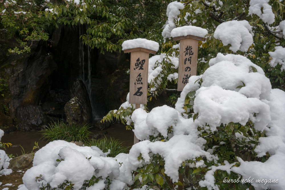 f:id:Z13:20190203173134j:plain f:id:Z13:20190203173134j:plain