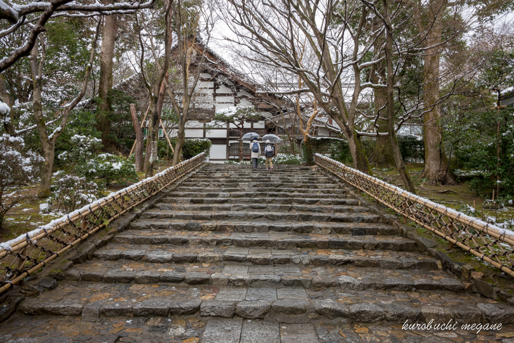 f:id:Z13:20190203173236j:plain f:id:Z13:20190203173236j:plain