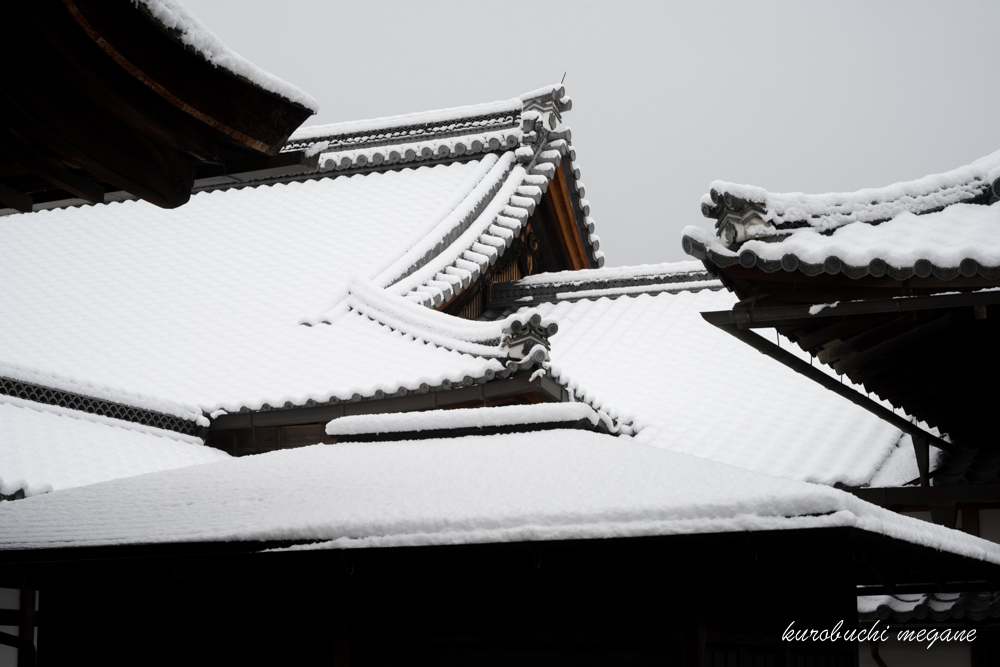 f:id:Z13:20190203194413j:plain f:id:Z13:20190203194413j:plain