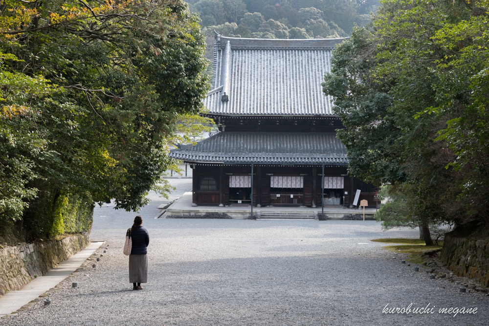 f:id:Z13:20190309212731j:plain f:id:Z13:20190309212731j:plain