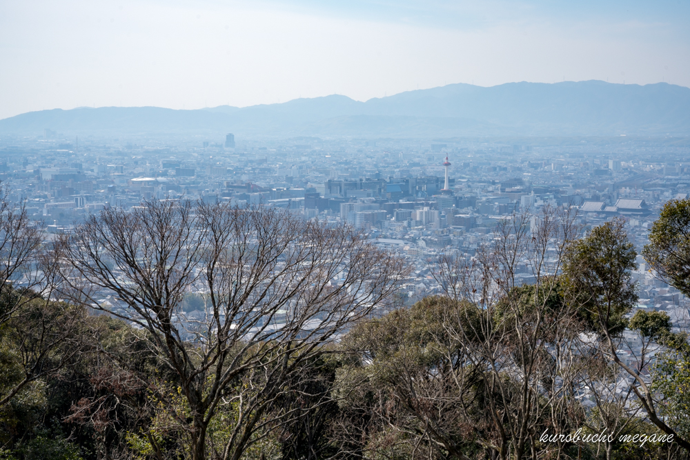 f:id:Z13:20190309212829j:plain f:id:Z13:20190309212829j:plain