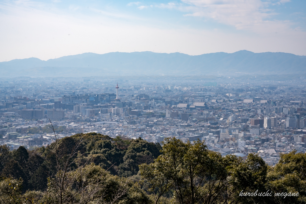 f:id:Z13:20190309212900j:plain f:id:Z13:20190309212900j:plain