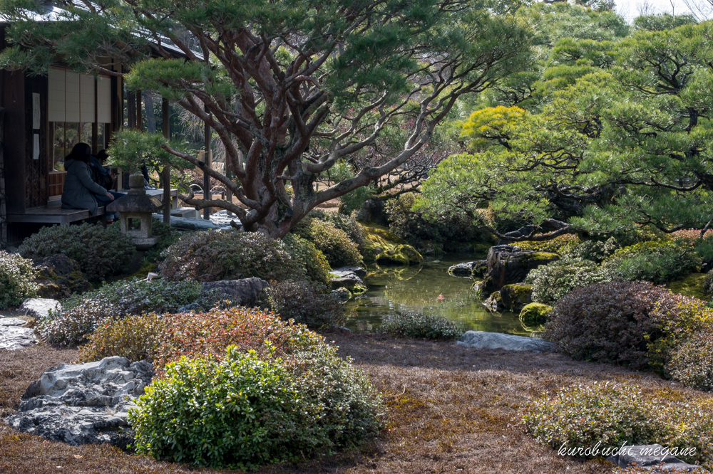 f:id:Z13:20190309212919j:plain f:id:Z13:20190309212919j:plain