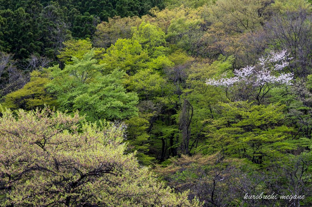 f:id:Z13:20190601211420j:plain f:id:Z13:20190601211420j:plain