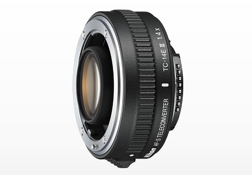 AF-S NIKKOR 300mm f/4E PF ED VR × TC-14E III - ウイス兄の写真館