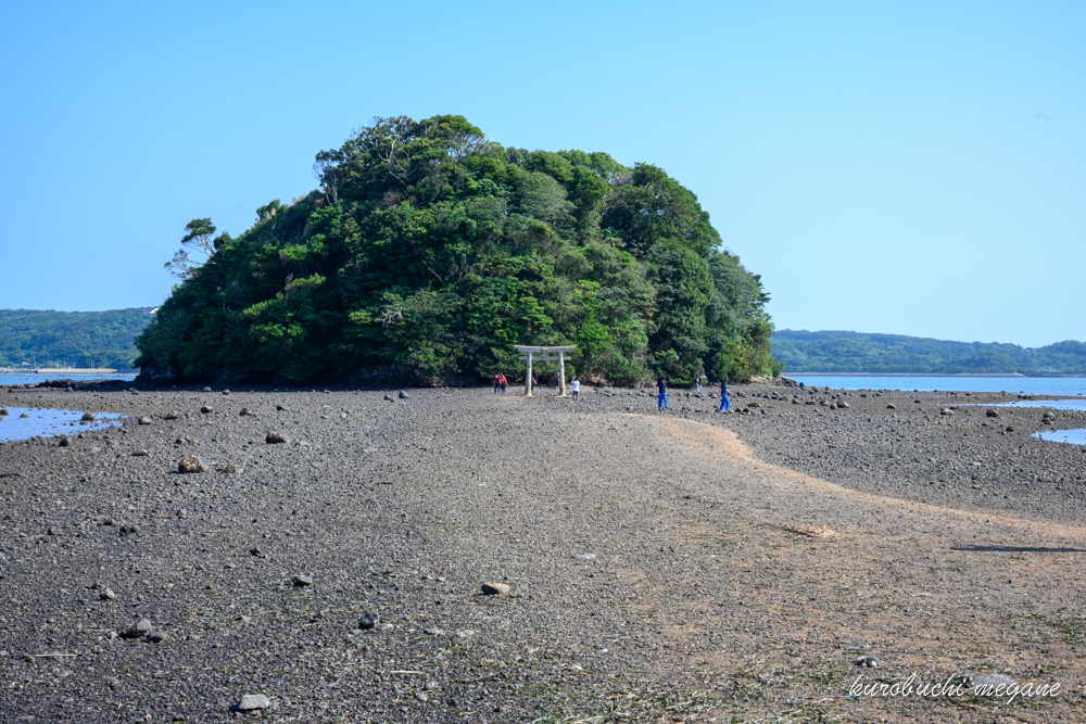 f:id:Z13:20190921212431j:plain f:id:Z13:20190921212431j:plain