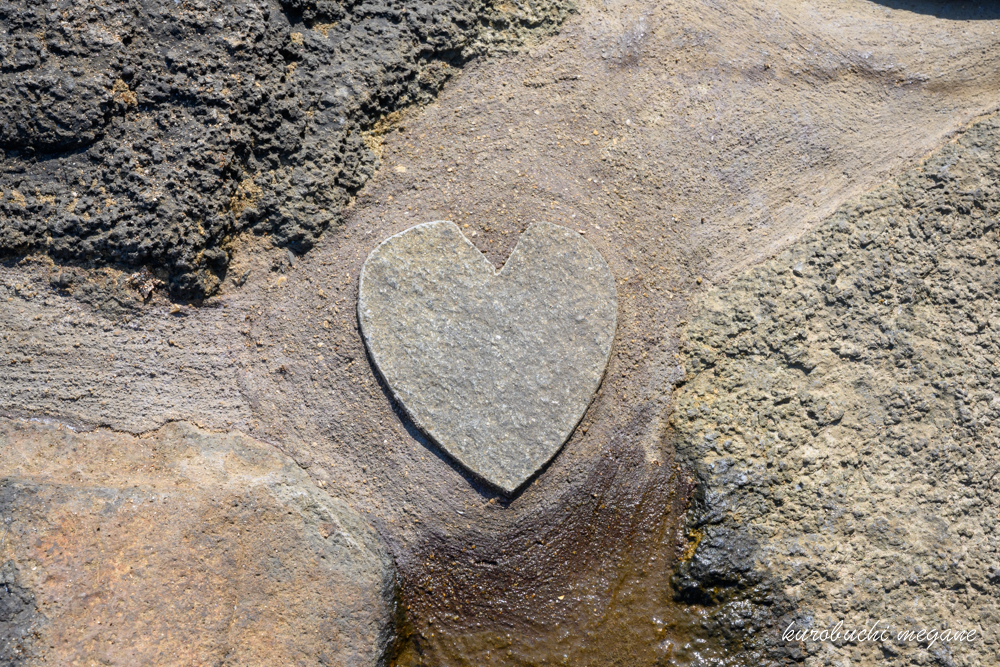 f:id:Z13:20190921212438j:plain f:id:Z13:20190921212438j:plain