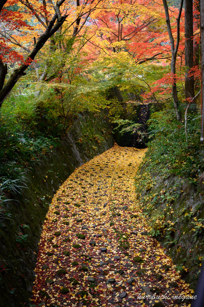 f:id:Z13:20191225212031j:plain f:id:Z13:20191225212031j:plain