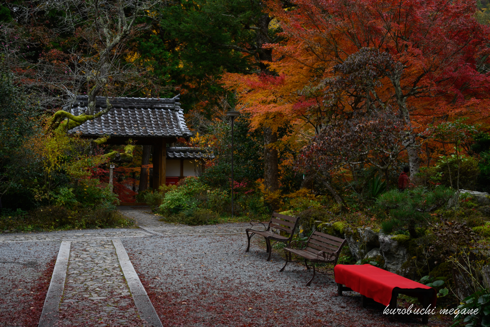 f:id:Z13:20191225212041j:plain f:id:Z13:20191225212041j:plain