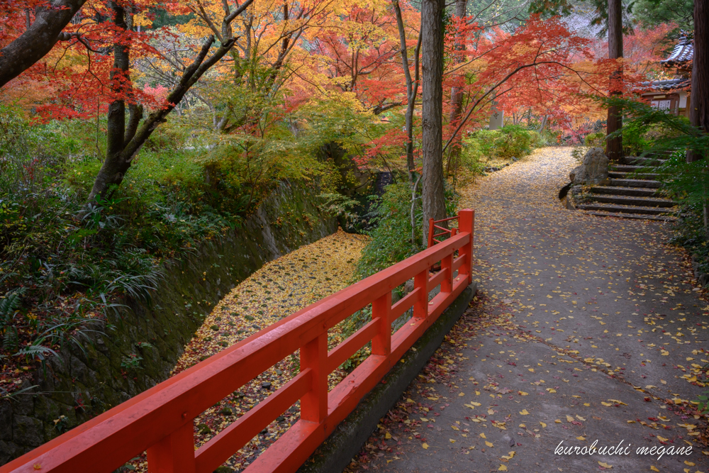 f:id:Z13:20191225212100j:plain f:id:Z13:20191225212100j:plain