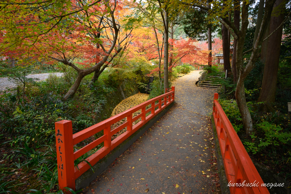 f:id:Z13:20191225212105j:plain f:id:Z13:20191225212105j:plain