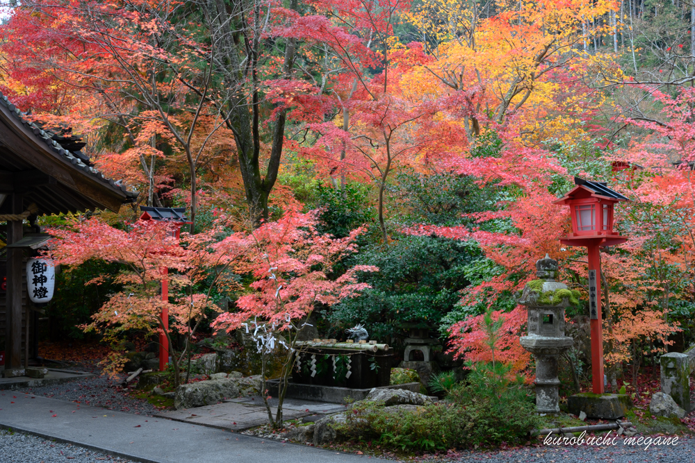 f:id:Z13:20191225212429j:plain f:id:Z13:20191225212429j:plain