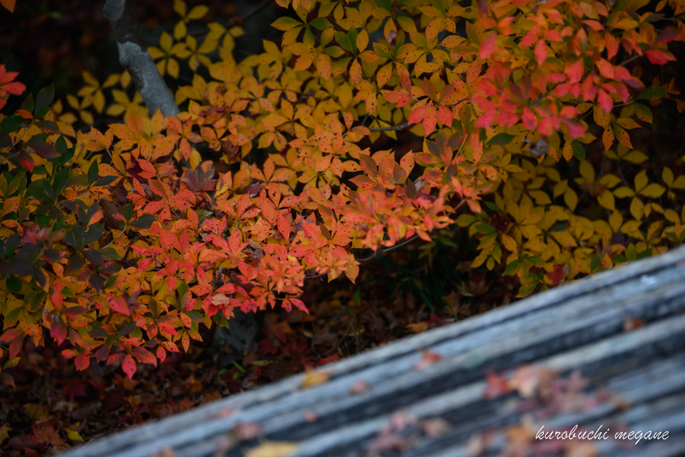 f:id:Z13:20191225212436j:plain f:id:Z13:20191225212436j:plain