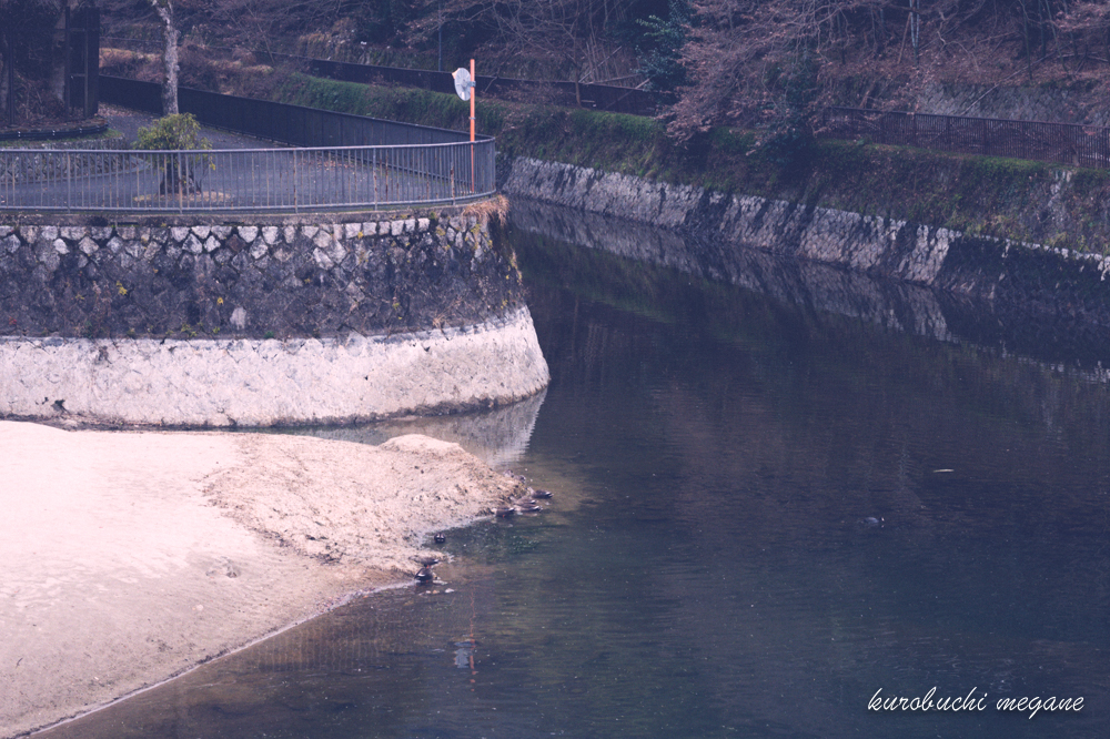 f:id:Z13:20200211205901j:plain