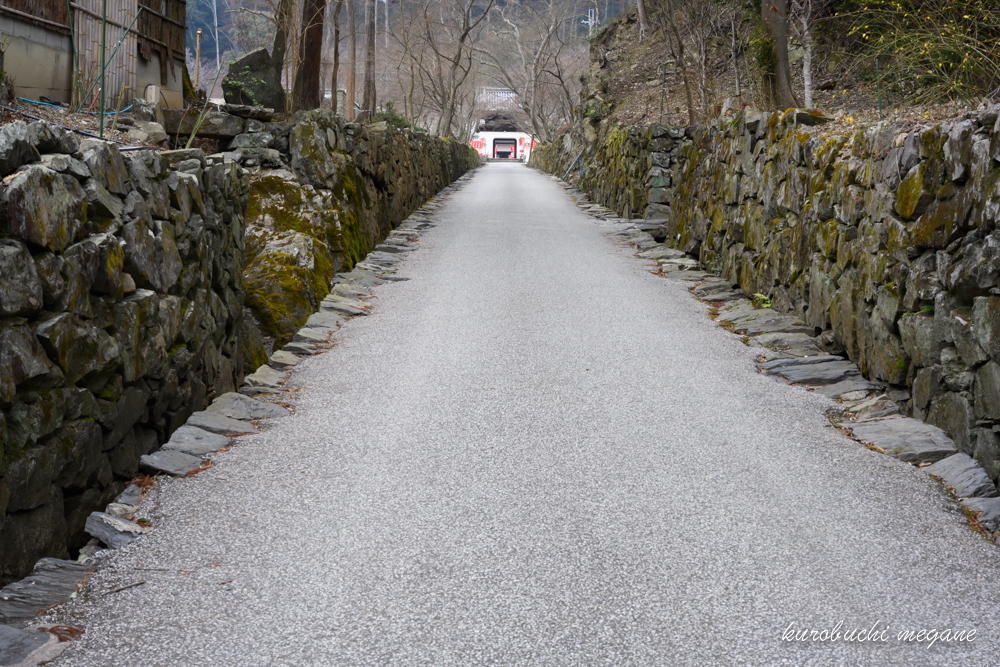 f:id:Z13:20200211205904j:plain