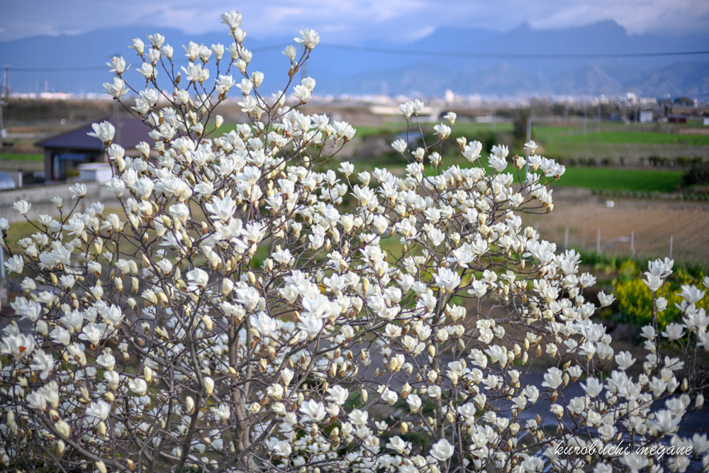 f:id:Z13:20200308162738j:plain f:id:Z13:20200308162738j:plain