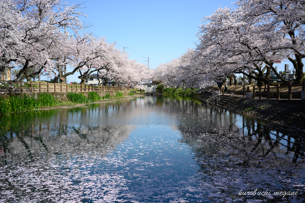f:id:Z13:20200417204407j:plain f:id:Z13:20200417204407j:plain