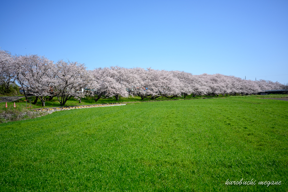 f:id:Z13:20200417204421j:plain f:id:Z13:20200417204421j:plain