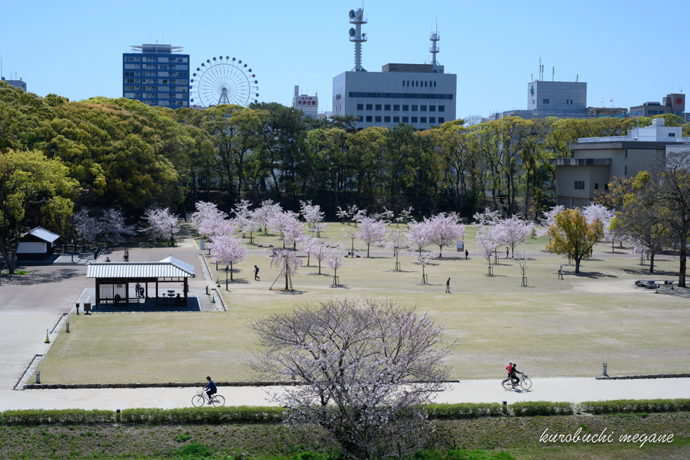 f:id:Z13:20200417204424j:plain f:id:Z13:20200417204424j:plain