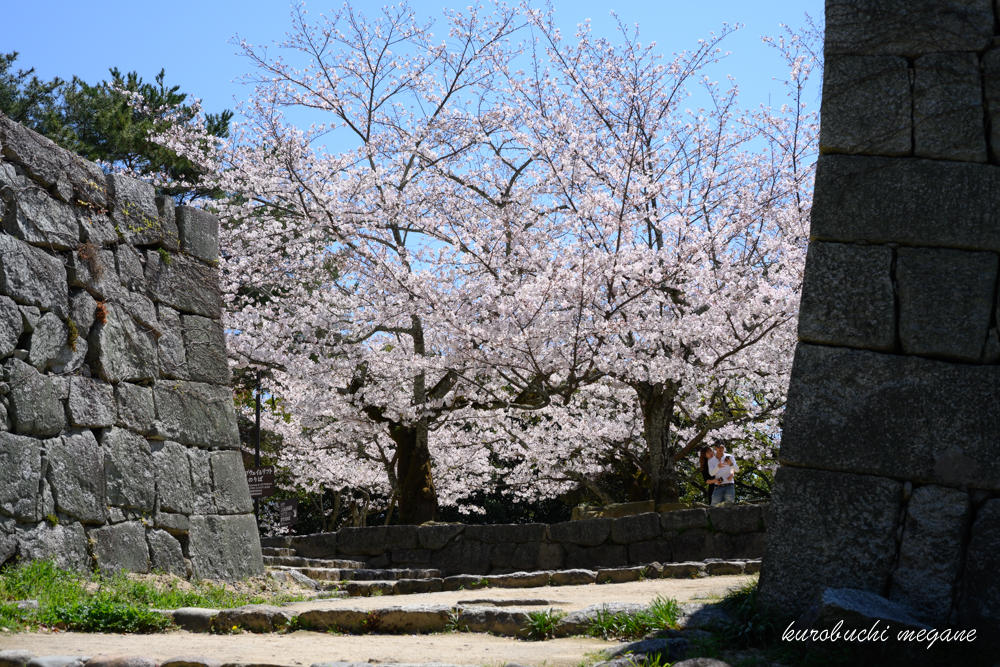 f:id:Z13:20200417204502j:plain f:id:Z13:20200417204502j:plain