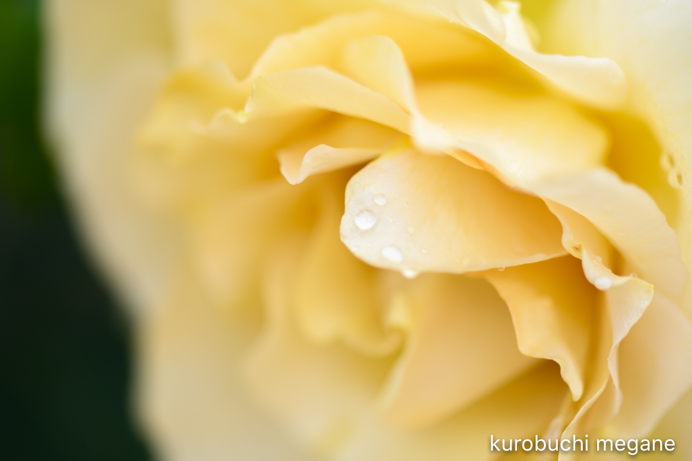 f:id:Z13:20200524211605j:plain f:id:Z13:20200524211605j:plain