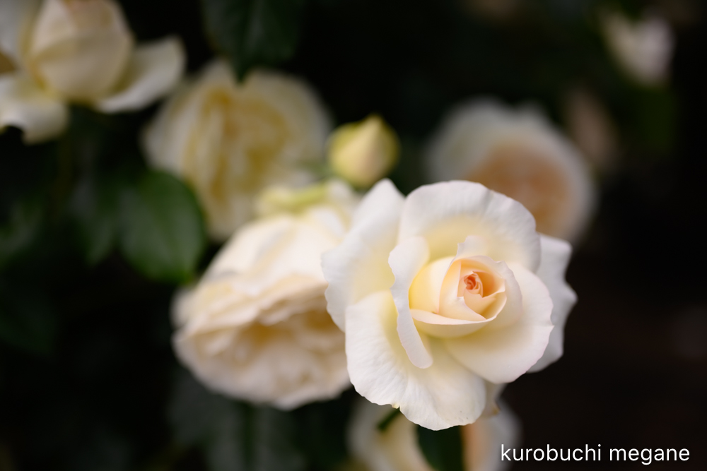 f:id:Z13:20200524211620j:plain f:id:Z13:20200524211620j:plain