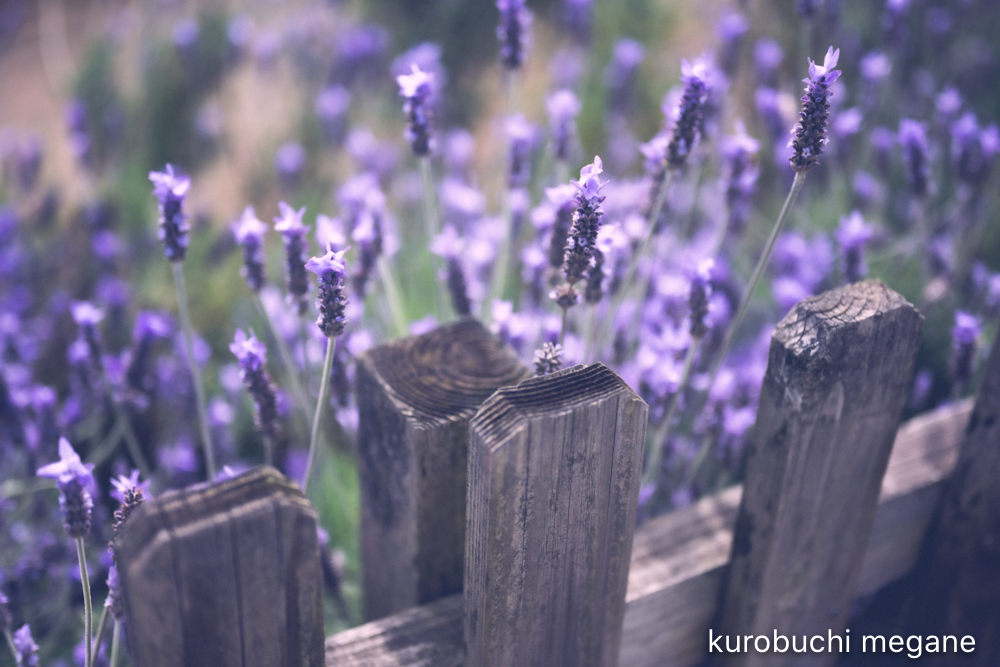 f:id:Z13:20200524211633j:plain f:id:Z13:20200524211633j:plain