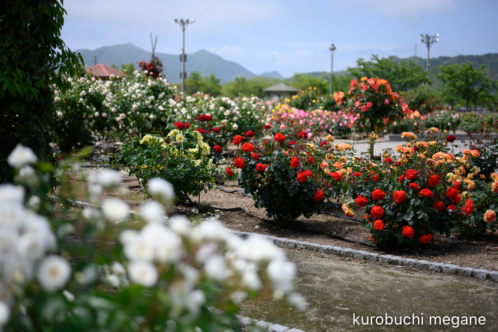 f:id:Z13:20200524211733j:plain f:id:Z13:20200524211733j:plain