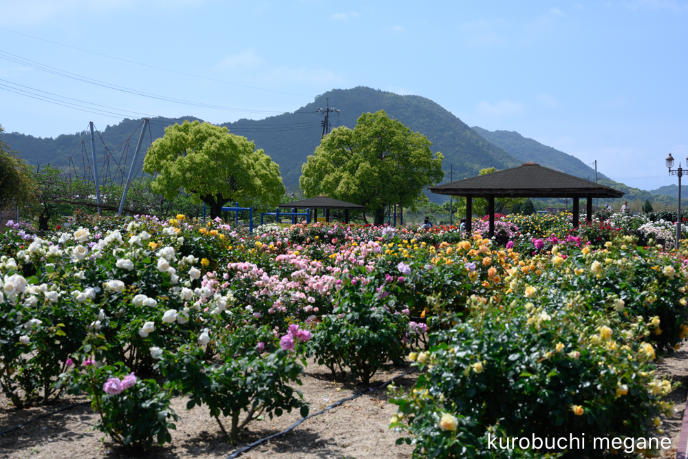 f:id:Z13:20200524211837j:plain f:id:Z13:20200524211837j:plain