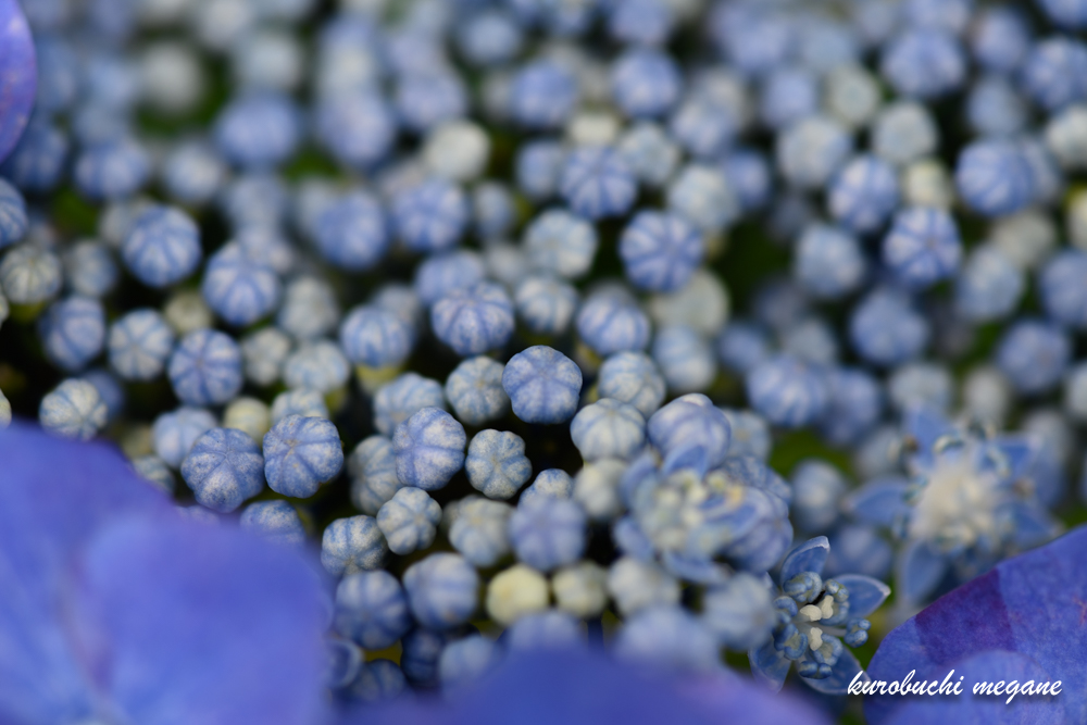 f:id:Z13:20200925185029j:plain f:id:Z13:20200925185029j:plain