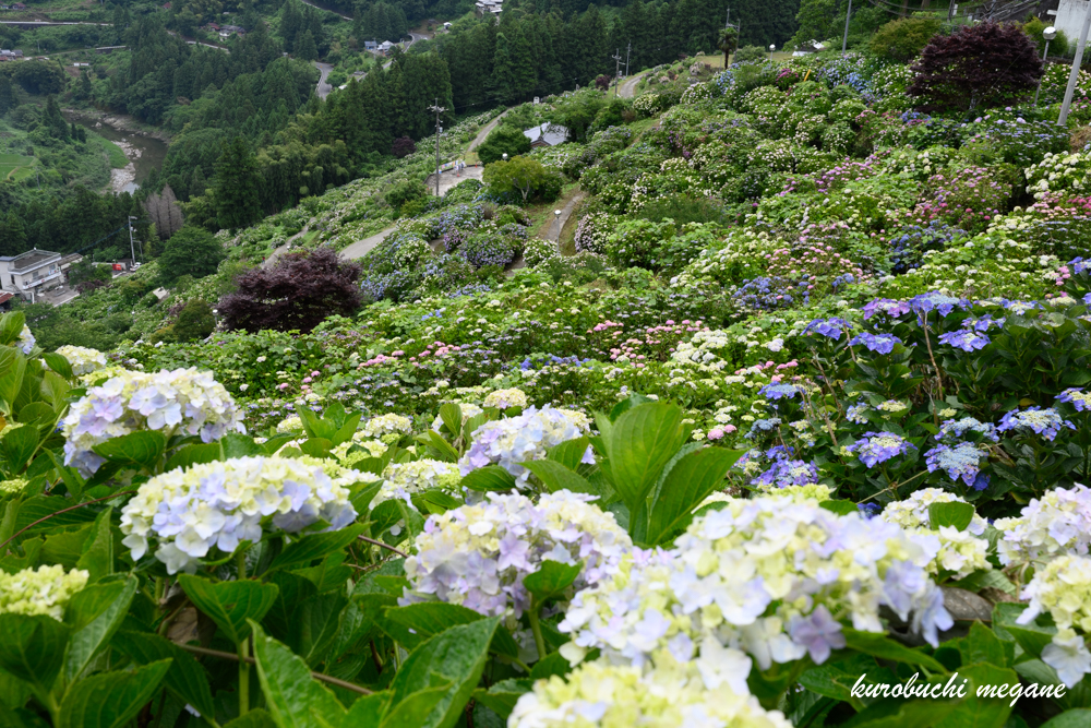 f:id:Z13:20200925185052j:plain f:id:Z13:20200925185052j:plain