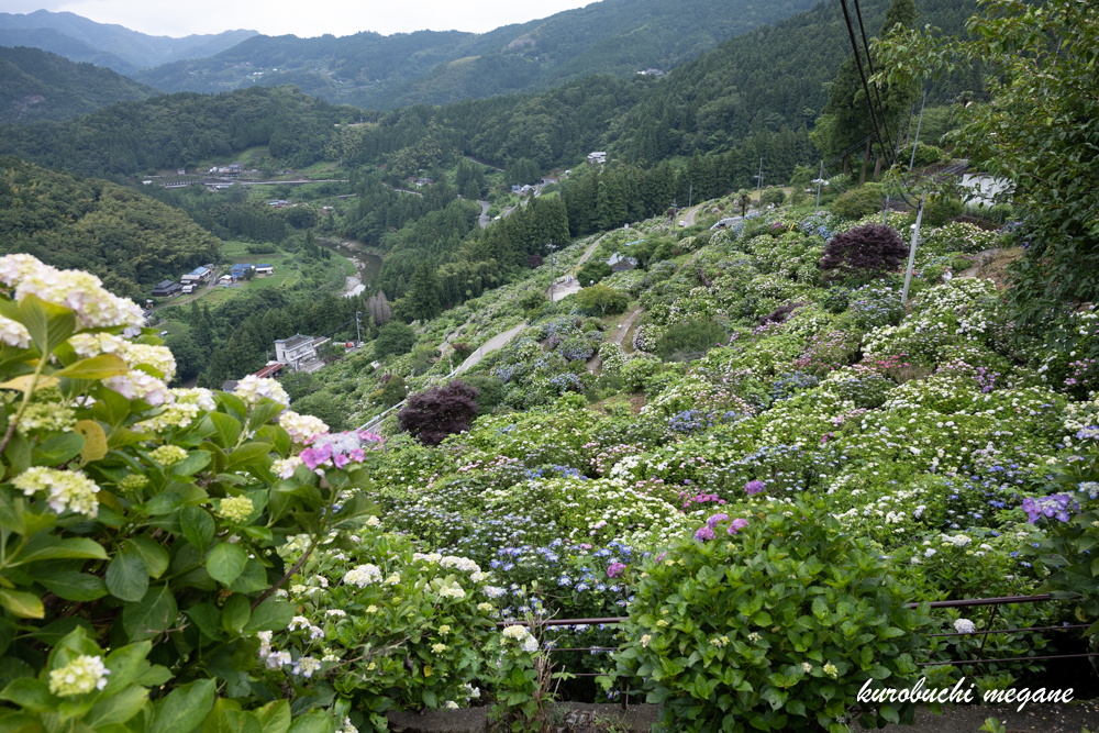 f:id:Z13:20200925185100j:plain f:id:Z13:20200925185100j:plain