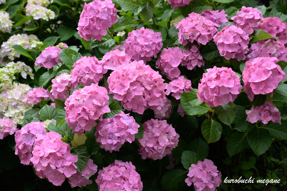 f:id:Z13:20200925185117j:plain f:id:Z13:20200925185117j:plain