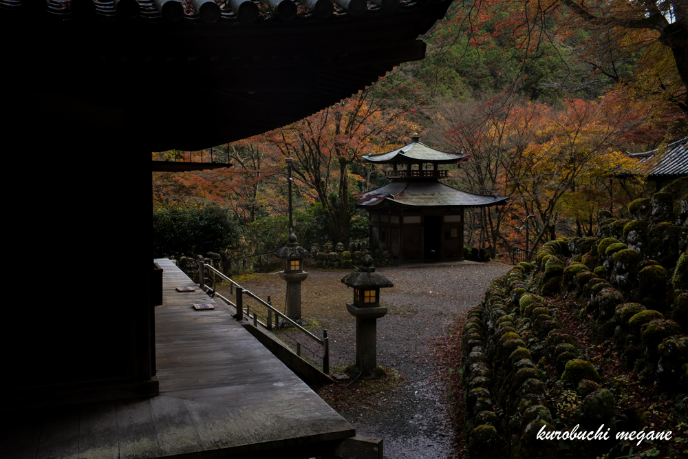 f:id:Z13:20201206162955j:plain