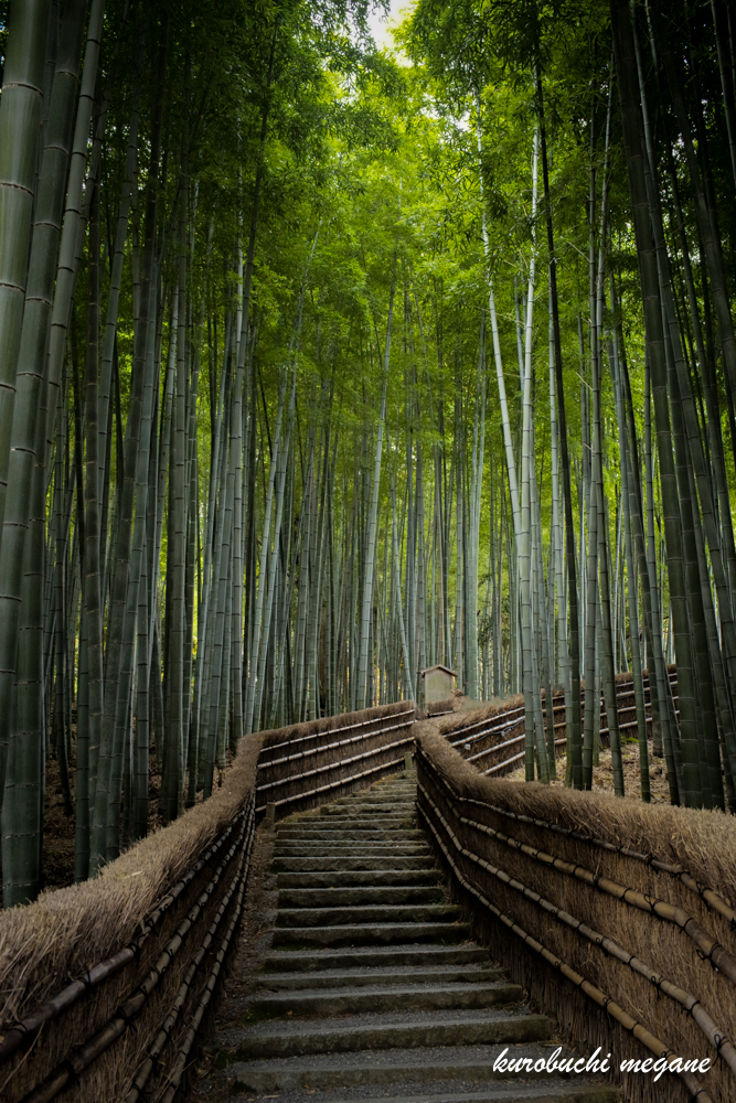 f:id:Z13:20201206163010j:plain