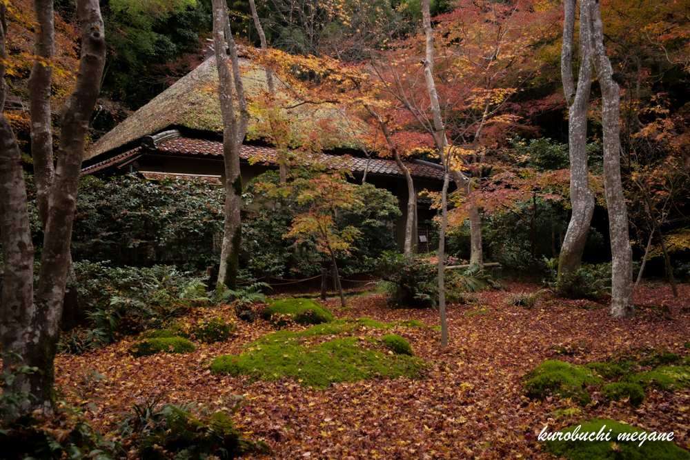 f:id:Z13:20201206163011j:plain