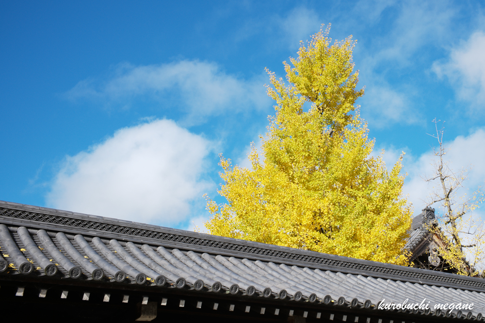 f:id:Z13:20201206163018j:plain