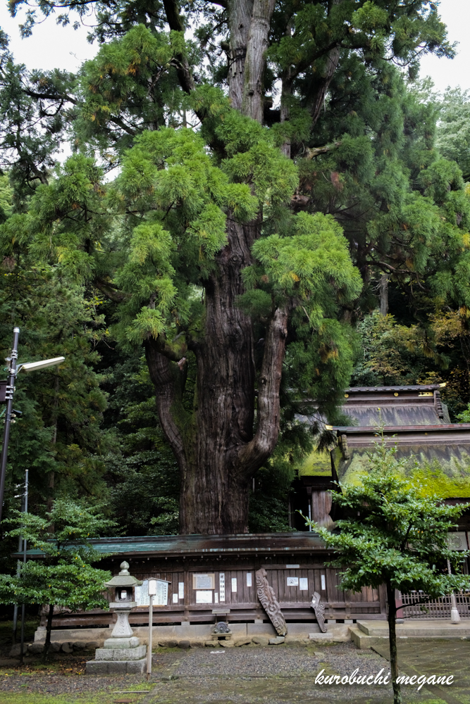 f:id:Z13:20201215210016j:plain