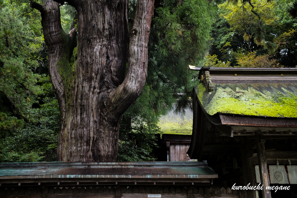 f:id:Z13:20201215210020j:plain