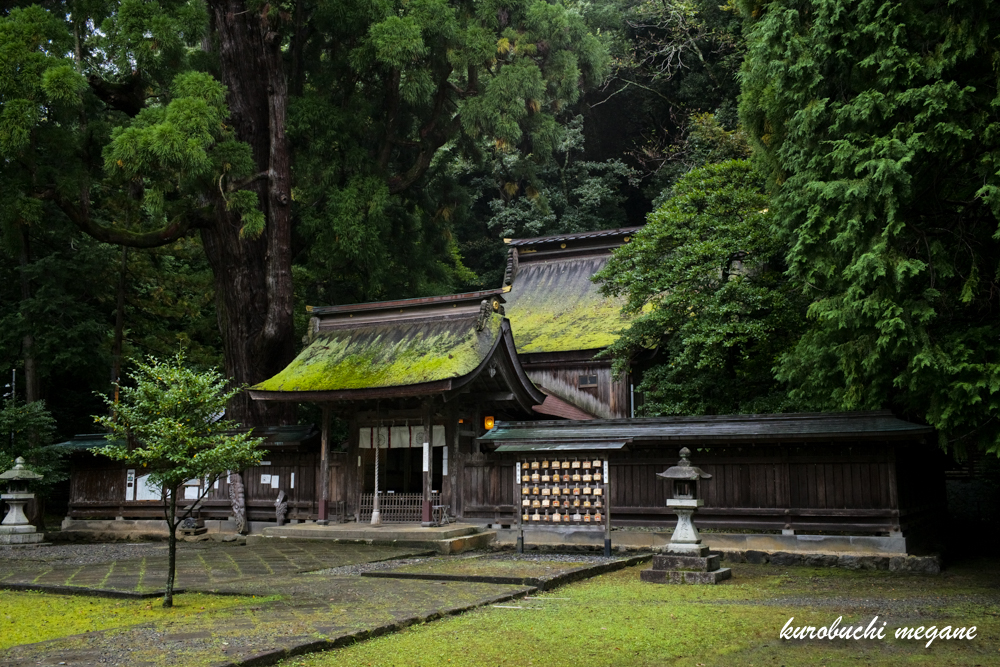 f:id:Z13:20201215210024j:plain