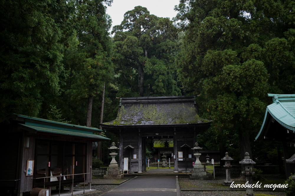 f:id:Z13:20201215211716j:plain