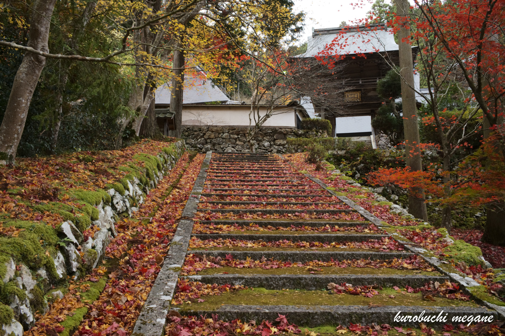 f:id:Z13:20210228145422j:plain