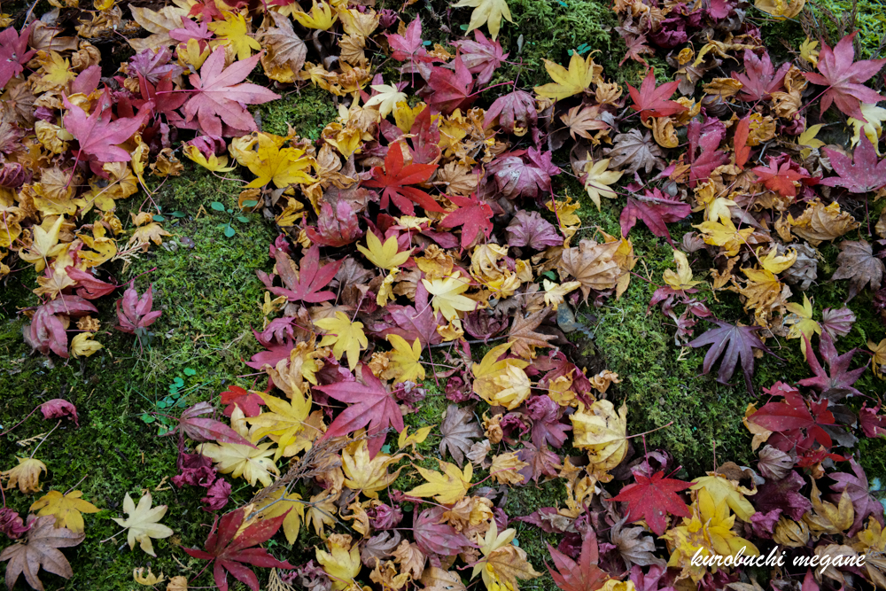 f:id:Z13:20210228145427j:plain