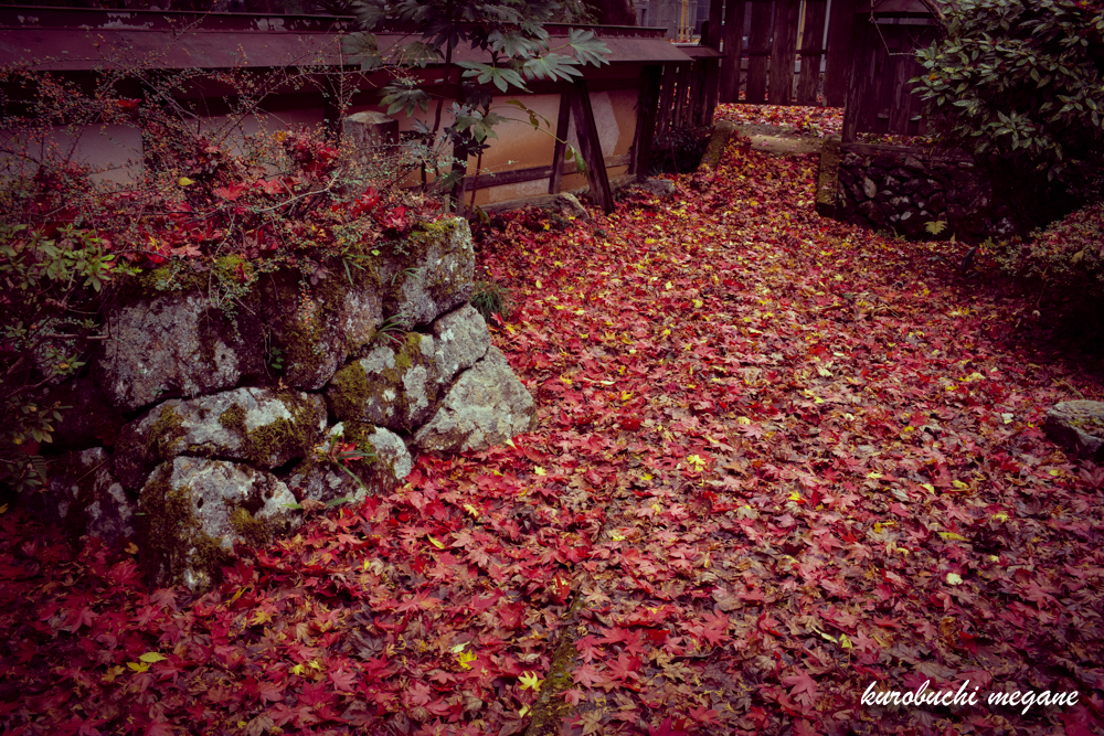 f:id:Z13:20210228145439j:plain